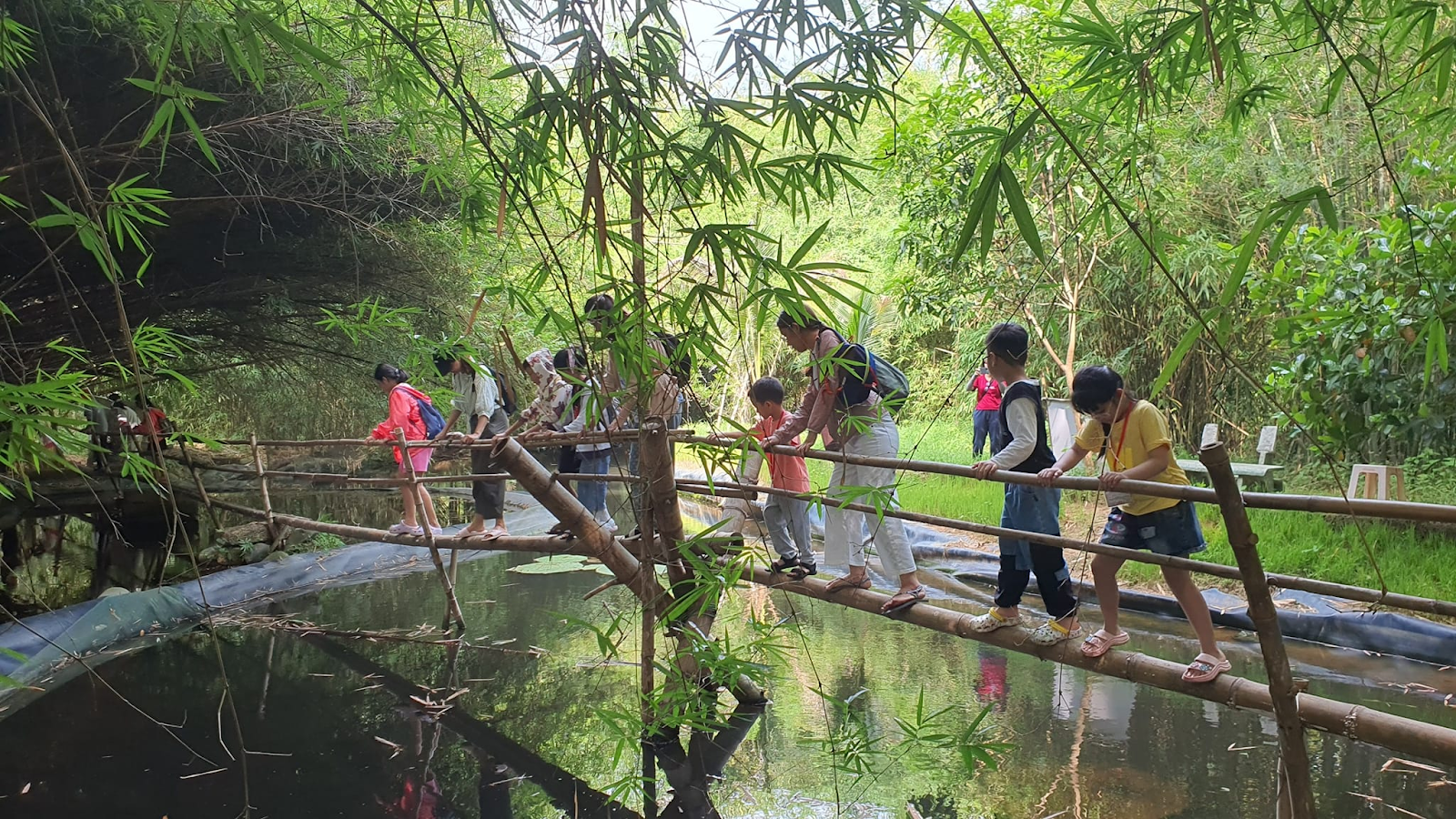 Làng tre Phú An mang vẻ đẹp mộc mạc và thanh bình.