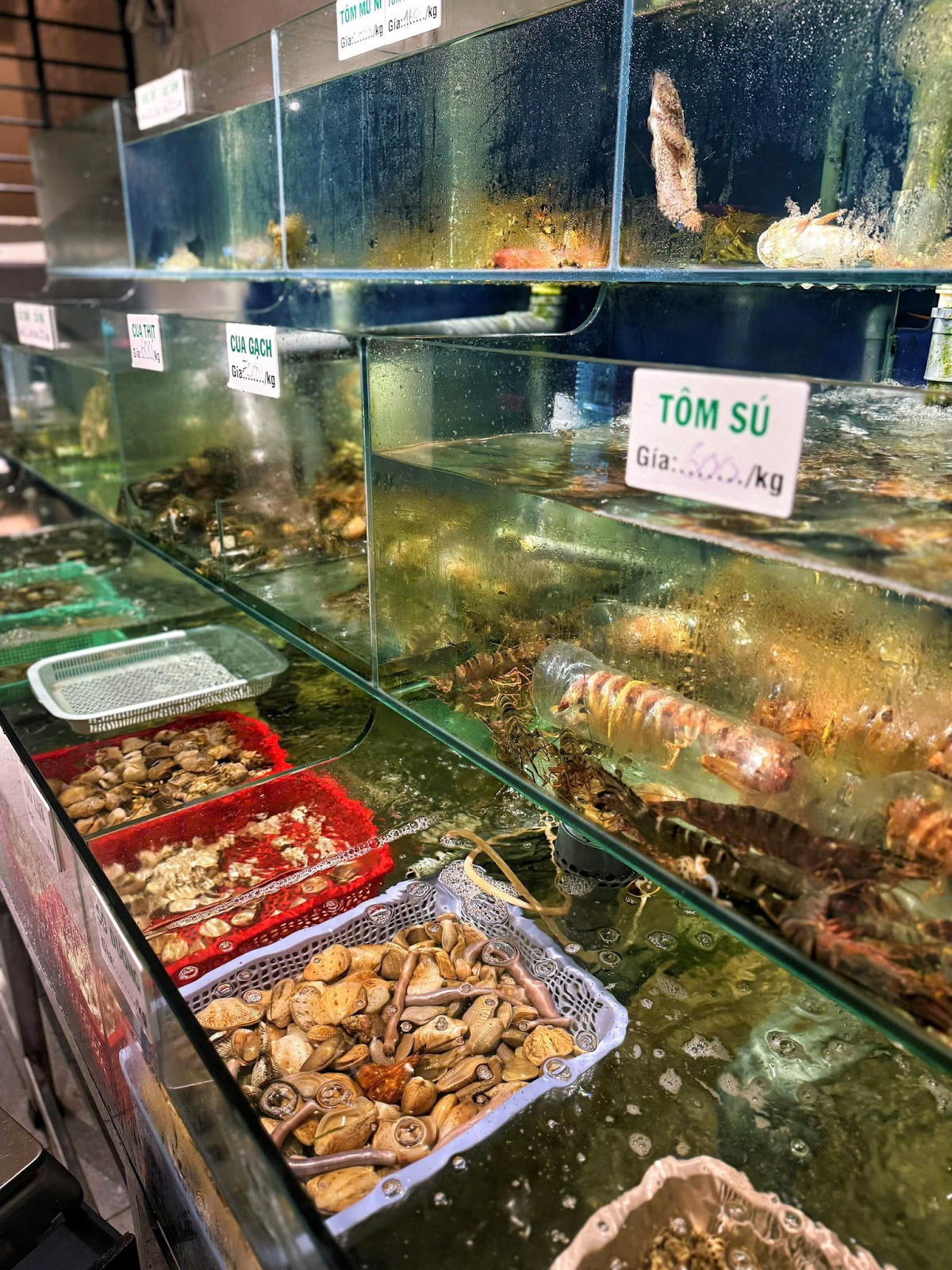 Thưởng thức hải sản tươi ngon là trải nghiệm bắt buộc tại Quy Nhơn.