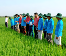 TOP 5 lý do nông dân hiện đại tin dùng giải pháp nông nghiệp từ Hợp Trí Summit